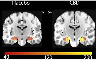 Cannabidiol blood flow 2