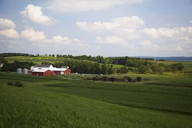 Rodale institute