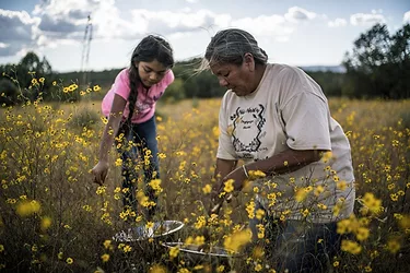 Twila cassadore san carlos apache tribe gather
