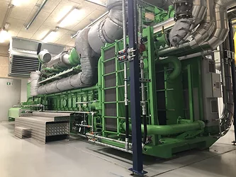 Afi biogas engines