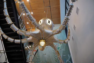 Ballard art 1