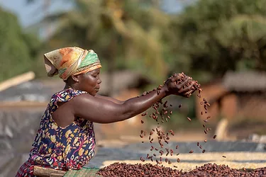 Care cargill report image min