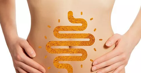 Curcumin gut