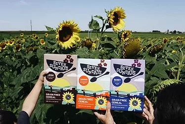 Sunflower