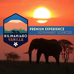 Kilimanjaro vanilla featured image sunset elephant 1x1hires