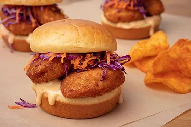 Sliders low res