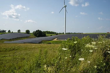 Facilities cashton solar 190724 2183