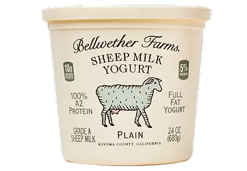 Bellwether