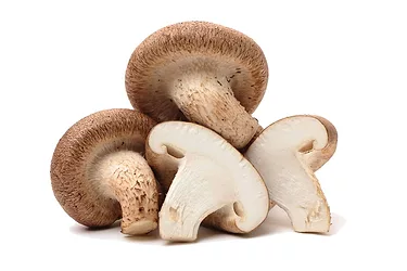 Mushrooms
