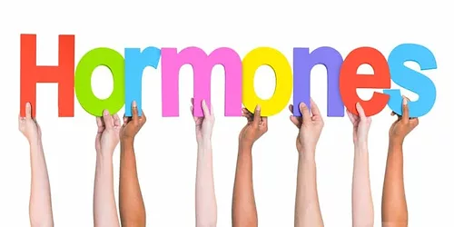 Hormones 2 1024x512 1