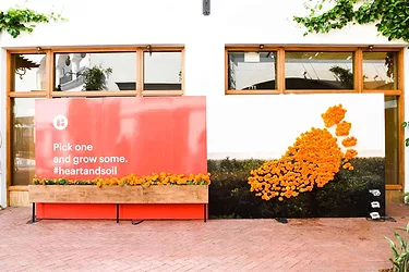 Flowerwall