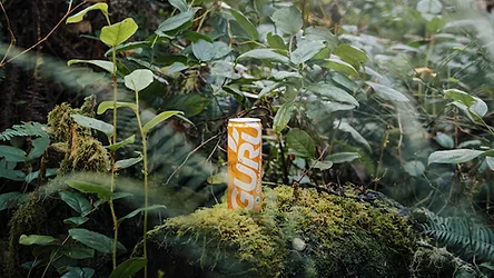 Guru guayusa pic3