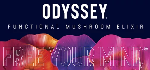Odyssey