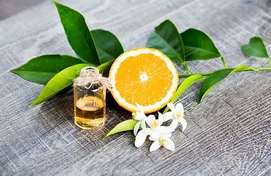 Nerolidol neroli orange flowers bluecal sensegen istock 1145048766
