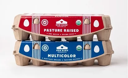 Nest fresh new barn eggs