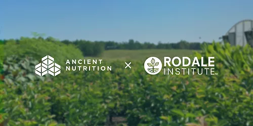 Ancient nutrition rodale