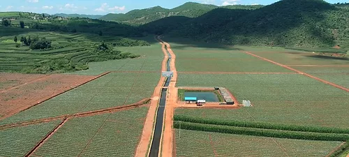Farm 5