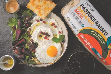 Hero grecian eggs with carton copy