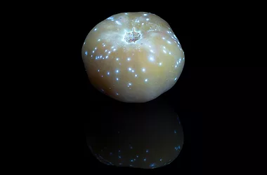 Golden tomato extract media