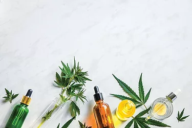 Phyto