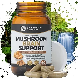 Brain support front
