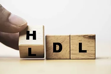 Cholesterol ldl hdl