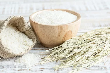 Roquette food rice protein 2022 03 4696