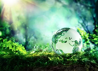 Healthy planet market insights