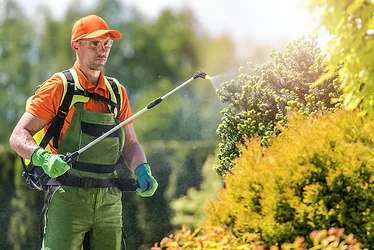 Herbicides photo