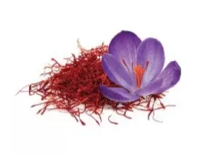 Saffron plant photo