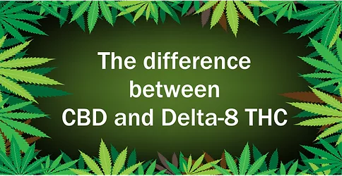 Cbd vs delta 8 1 1024x529 1