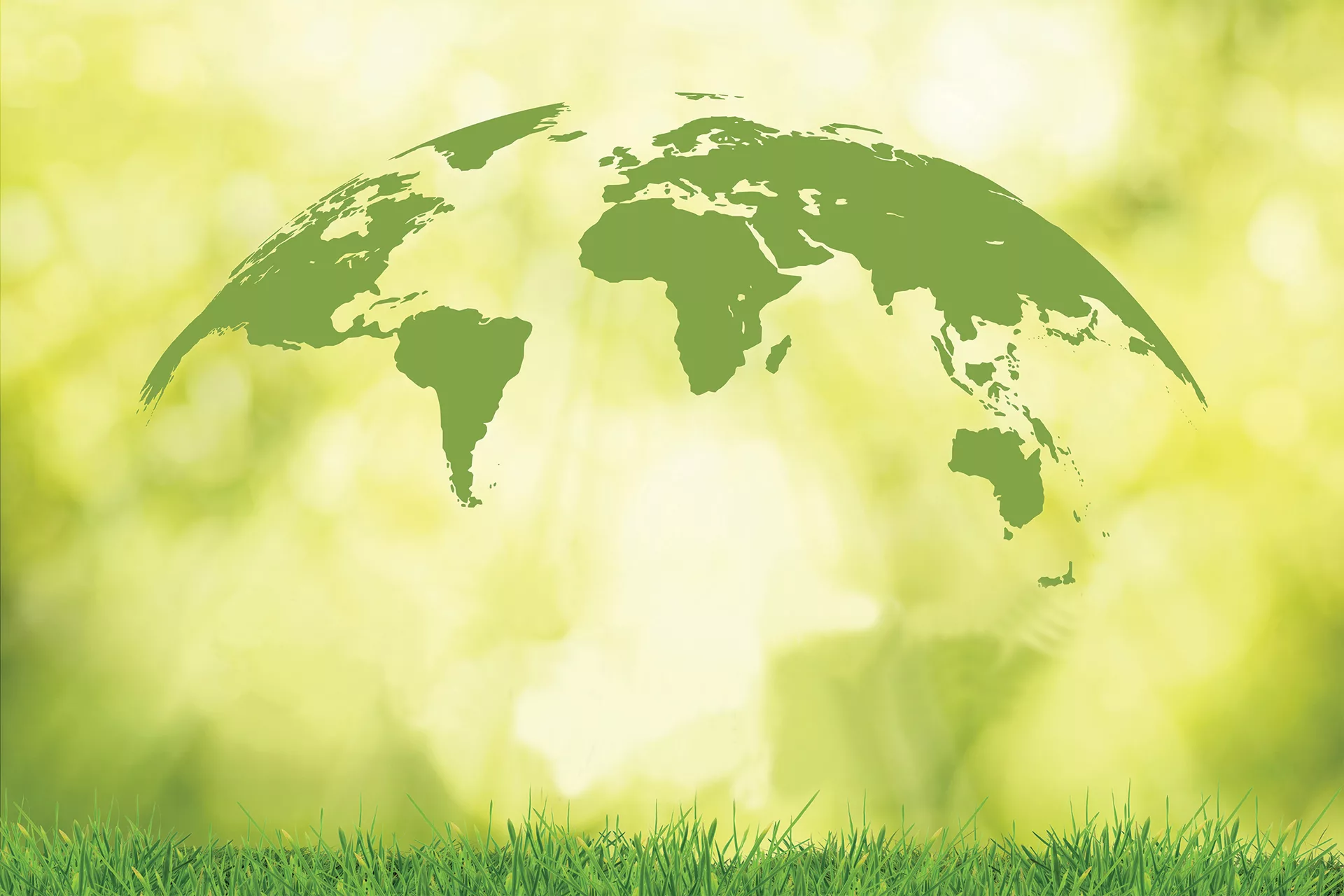 Sustainability