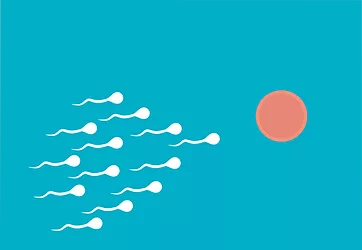 Fertilization largest size 6918867