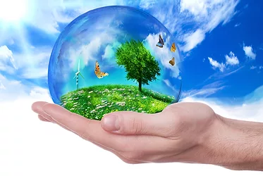 Sustainability photo trees butterflies nature bubble