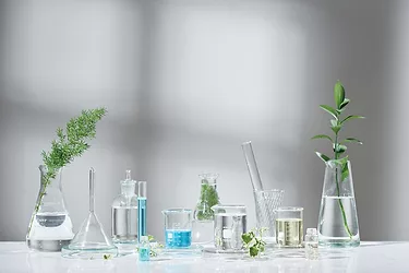 Labs