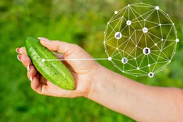 Ai nutrition gettyimages 1338847254