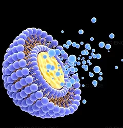 Liposome istock1402547627 1920x1440