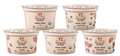 Painterland sisters yogurt