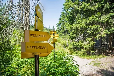 Path to wellness happiness gettyimages 922729384