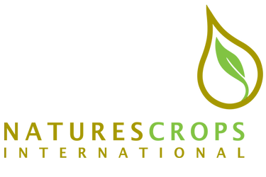Nci logo transparent 1