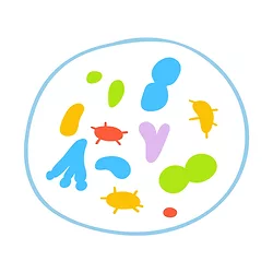 Probiotics