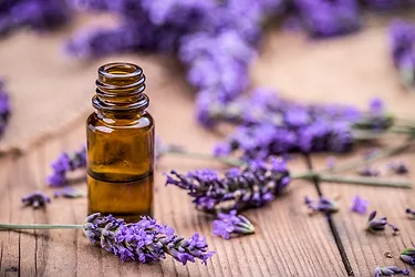 Lavendar oil