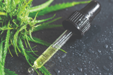 Hemp plant and pipette with a CBD oil on wet metal surface