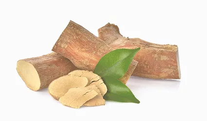 tongkat ali herb