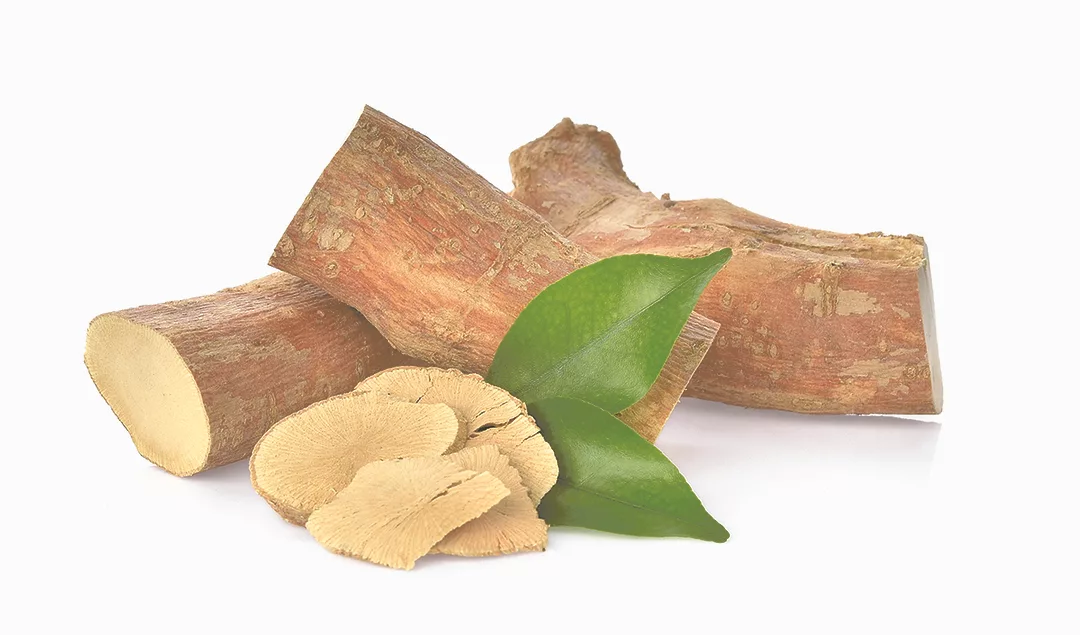 tongkat ali herb