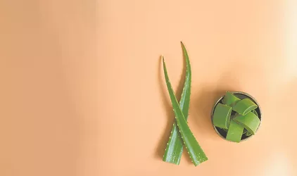 aloe vera.jpg