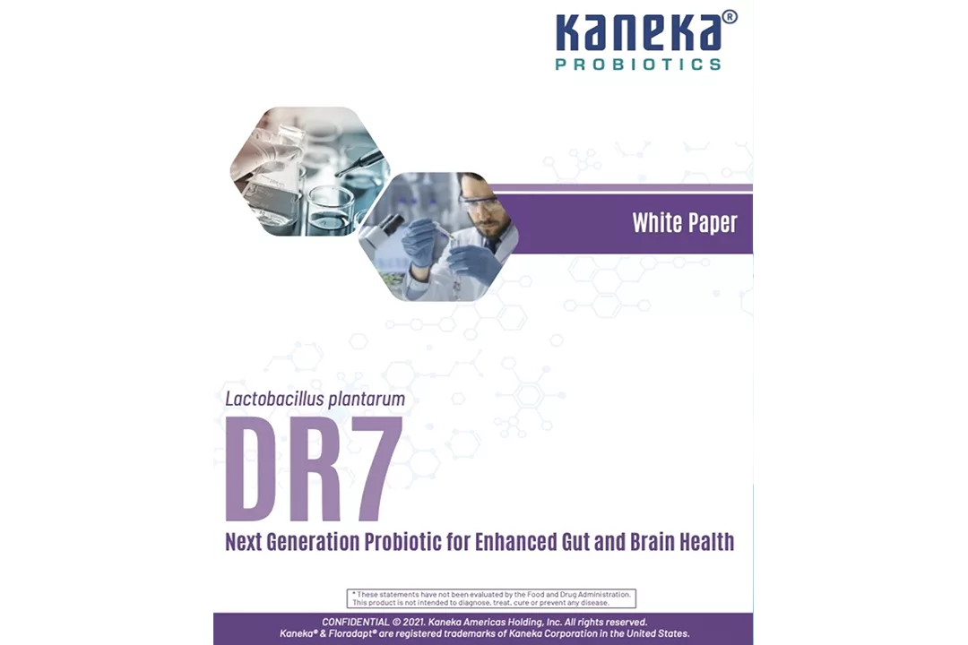 Dr7 final