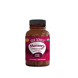 FourSigmatic_Memory.png