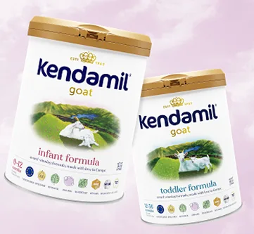 Kendamil