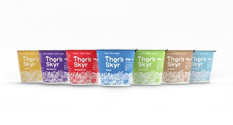 Thor'sSkyr.png